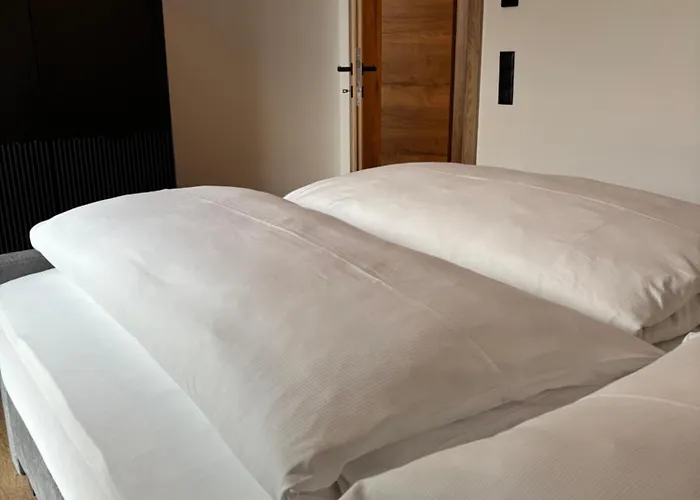 Glücksvogel Schladming