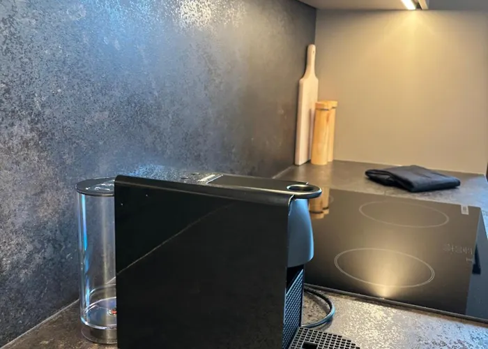 Glücksvogel Appartement Schladming